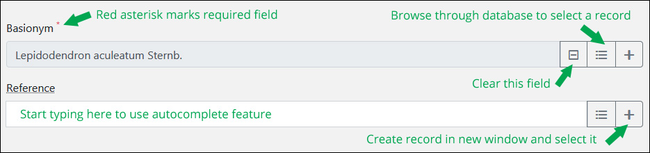 form basics