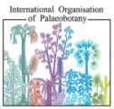 International Organisation of Palaeobotany